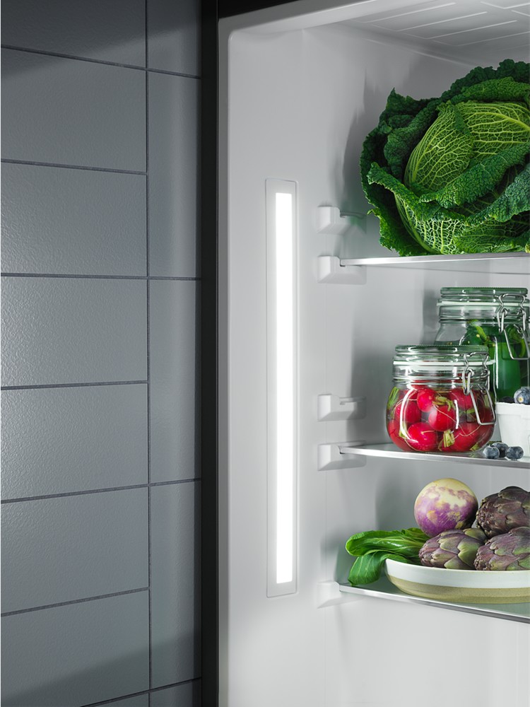 Electrolux ENS6TE19S Refrigerator with freezer cm. 55 h. 188 - lt. 273