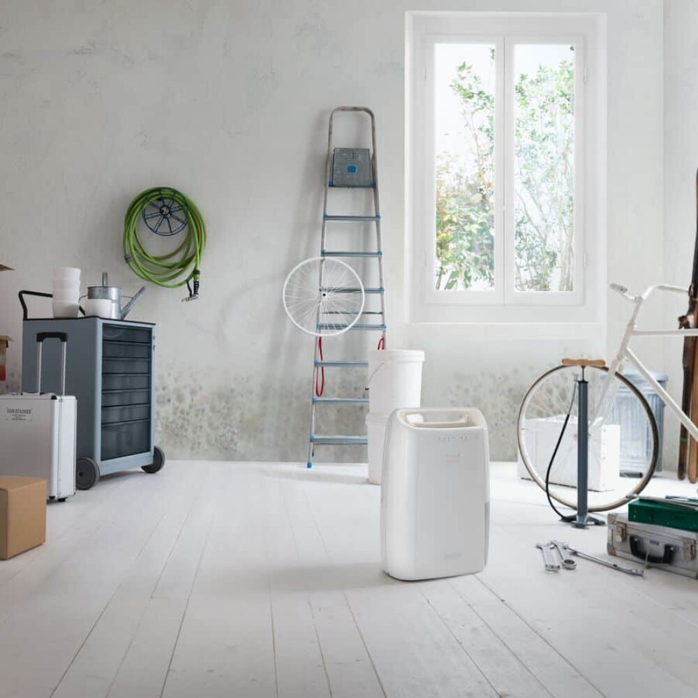 De Longhi DEX210SF Dehumidifier - 45 m2 - 10 lt/24 h - white