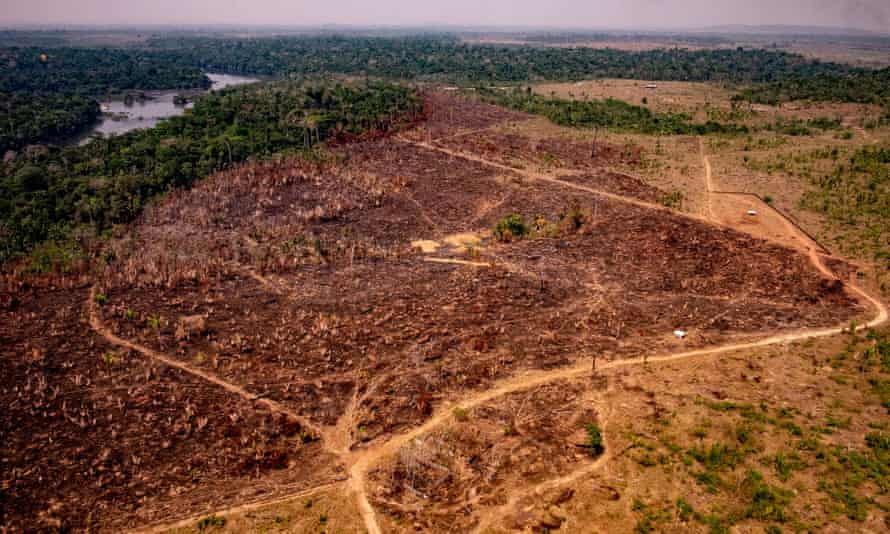 Immagine illustrativa della deforestazione in Amazzonia